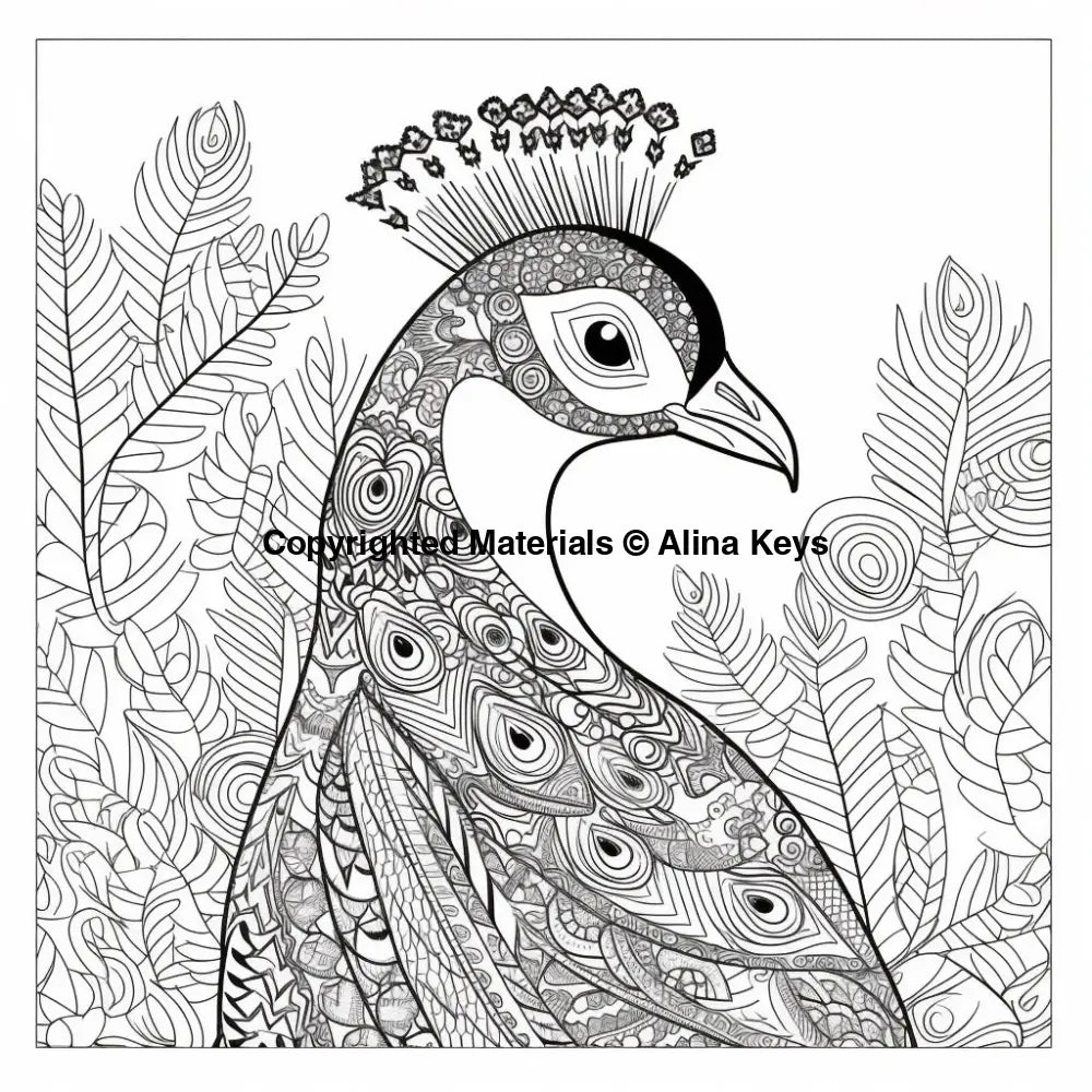 peacock coloring pages