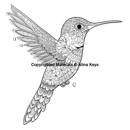 intricate design hummingbird coloring pages