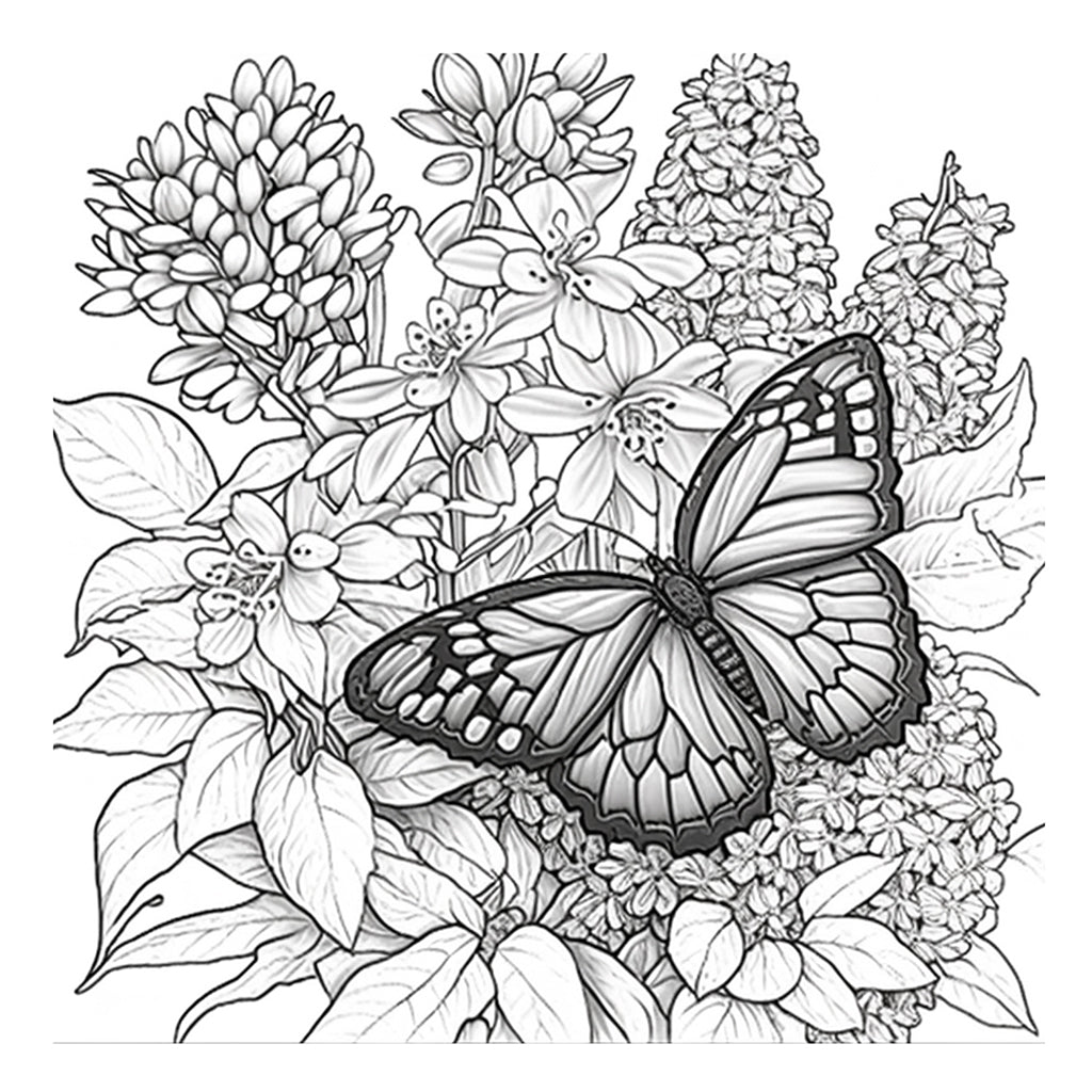 buddleia lilac coloring pages flowers with butterfly